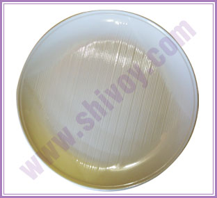 melamine catering crockery - plastic crockery - home gift crockery - plastic catering products manufacturers exporters in india punjab ludhiana